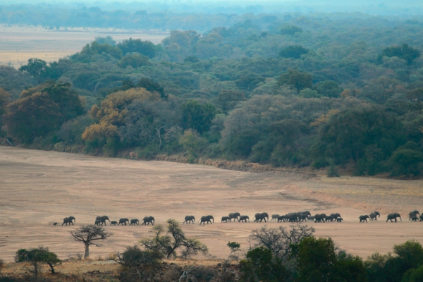 Students conducting field research on foot in Kruger National Park South Africa living classroom conservation education