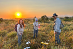 Conservation student conducting field ecology research on foot in Kruger National Park South Africa Nsasani Trust