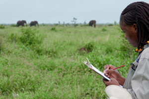 Student researcher in the field at Kruger National Park supported by donations to Nsasani Trust conservation NPO South Africa